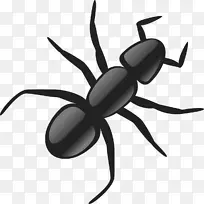 蚂蚁剪贴画-黑蚁