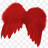 羽毛红翅膀