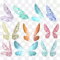 蝴蝶翼-白色，翅膀，蝴蝶翅膀