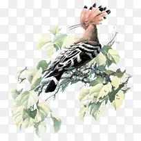 鸟画画家艺术-孔雀