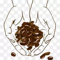 咖啡豆咖啡厅插图-棕色咖啡豆
