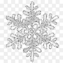 雪花透明半透明图标白色透明雪花图案
