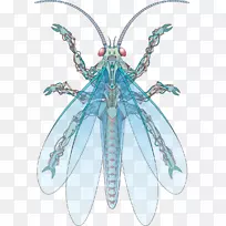 昆虫插图.手绘机械蝇