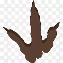 恐龙脚暴龙动物足迹脚趾甲