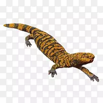吉拉怪物蜥蜴爬行动物-鳄鱼斑纹