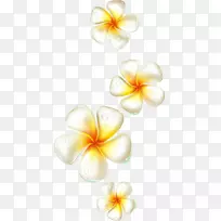 鸡蛋花素