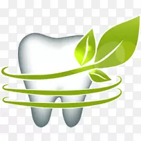 人类牙齿叶牙科-牙齿周围叶