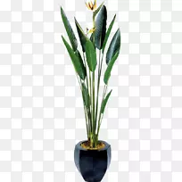 花盆图标-绿色植物