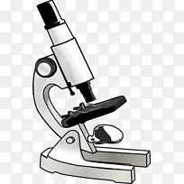 光学显微镜剪贴画.简单手绘显微镜