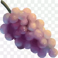 葡萄籽提取物无核水果涂了一串葡萄