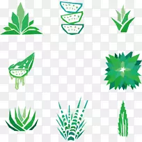芦荟画多汁植物剪贴画.芦荟