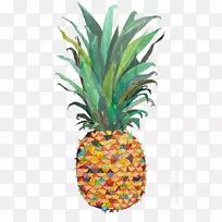 菠萝水彩画水果插图-菠萝