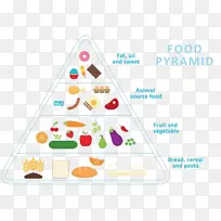 食物金字塔健康饮食金字塔营养卡通健康饮食金字塔