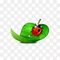 瓢虫剪贴画-绿叶瓢虫