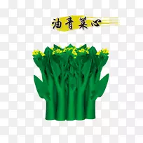 蔡素生淘宝蔬菜种子天猫-大白菜