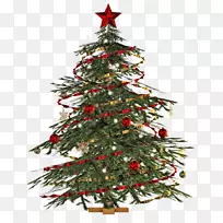 圣诞树剪贴画-圣诞树PNG透明图像