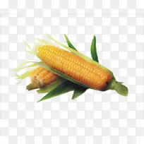 玉米玉米芯图标-玉米