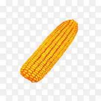 玉米对玉米芯上的玉米、颖果作物种子-玉米