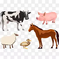 牛、羊、畜牧场.病媒马