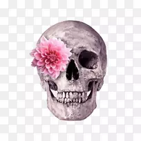 头盖骨骨架印刷.花卉骨架头