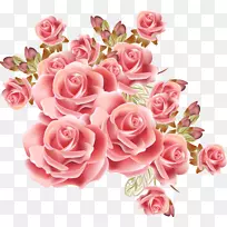 玫瑰花画摄影.梦中的粉红色玫瑰图案