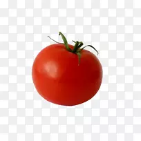 灌木丛番茄提供大小的饮食-一种西红柿