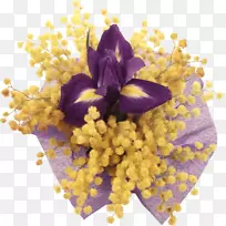 米莫萨色拉花夹艺术-花束