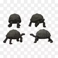 龟爬行动物-爬行石龟设计