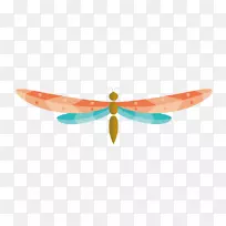 下载-彩色蜻蜓