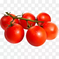 李子番茄灌木番茄红番茄