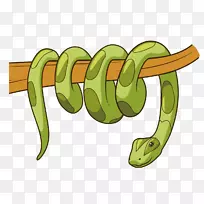 蛇连接点画插图-绿色的蛇在一根棍子上。