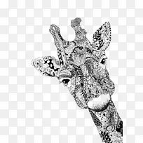 长颈鹿画肖像画素描长颈鹿