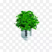树木生态概念剪辑艺术创意灯泡植物