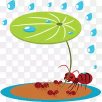 蚂蚁版税-免费摄影插图-莲叶下蚂蚁