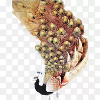 孔雀画装饰艺术羽毛垫孔雀