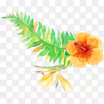 热带植被-热带植物