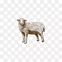羊画放牧插图.艺术作品绵羊