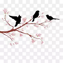 爱鸟树枝轮廓-桃树鸟
