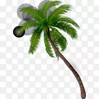 椰子槟榔科插图-绿梦棕榈树