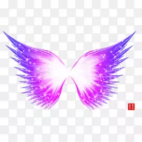 紫色下载-美丽透明的翅膀