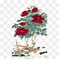 花园玫瑰牡丹花设计谷歌图片-牡丹