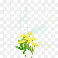 黄色壁纸.黄色菊花装饰图案材料