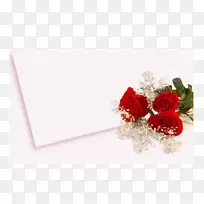 婚礼邀请函高清视频壁纸白玫瑰