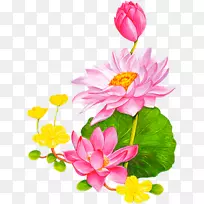 莲花动画莲花43剪贴画-荷叶卡通图案背景装饰