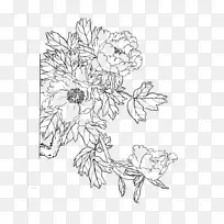 牡丹下载花卉设计-牡丹画线