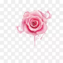 海滩玫瑰粉色指甲油凝胶指甲-美丽的粉红色牡丹花滴