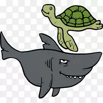 海龟和鲨鱼