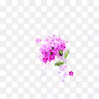 花瓣插画-一束花