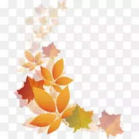 秋天的透明度和半透明-半透明的秋叶