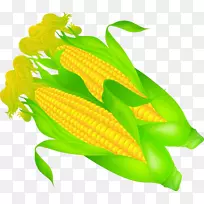 玉米芯上的玉米和头玉米-玉米